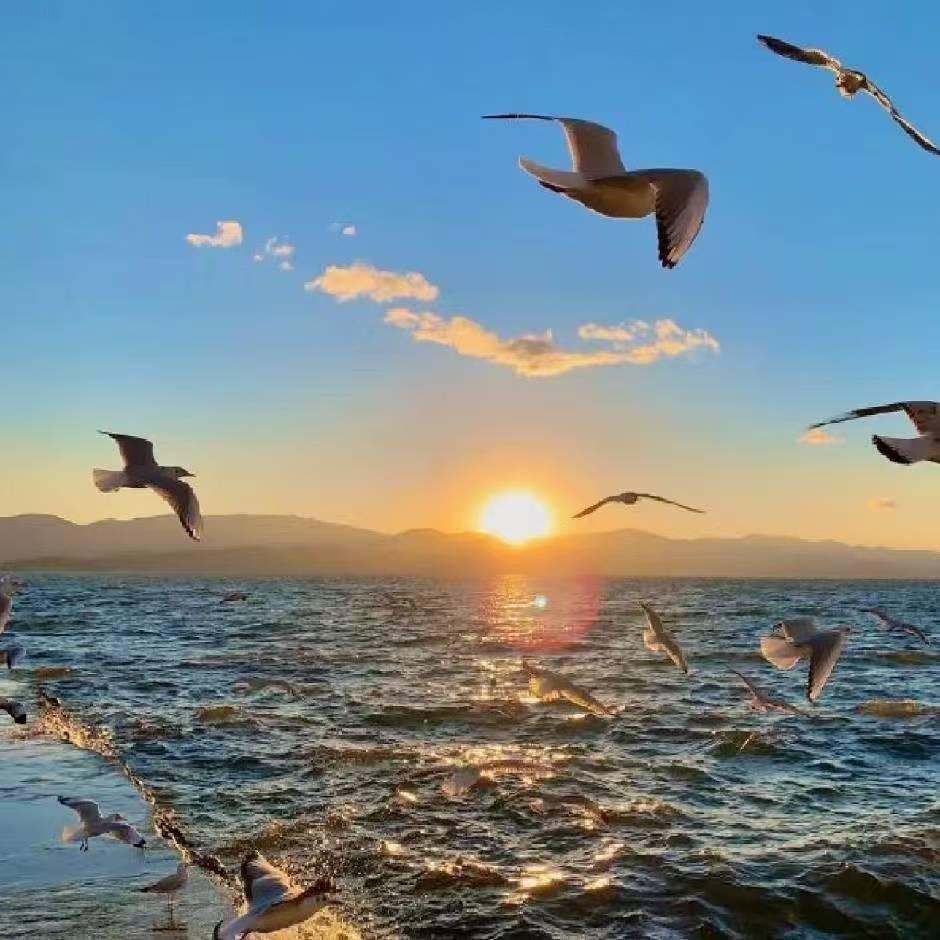 👩‍🚀小手冰凉