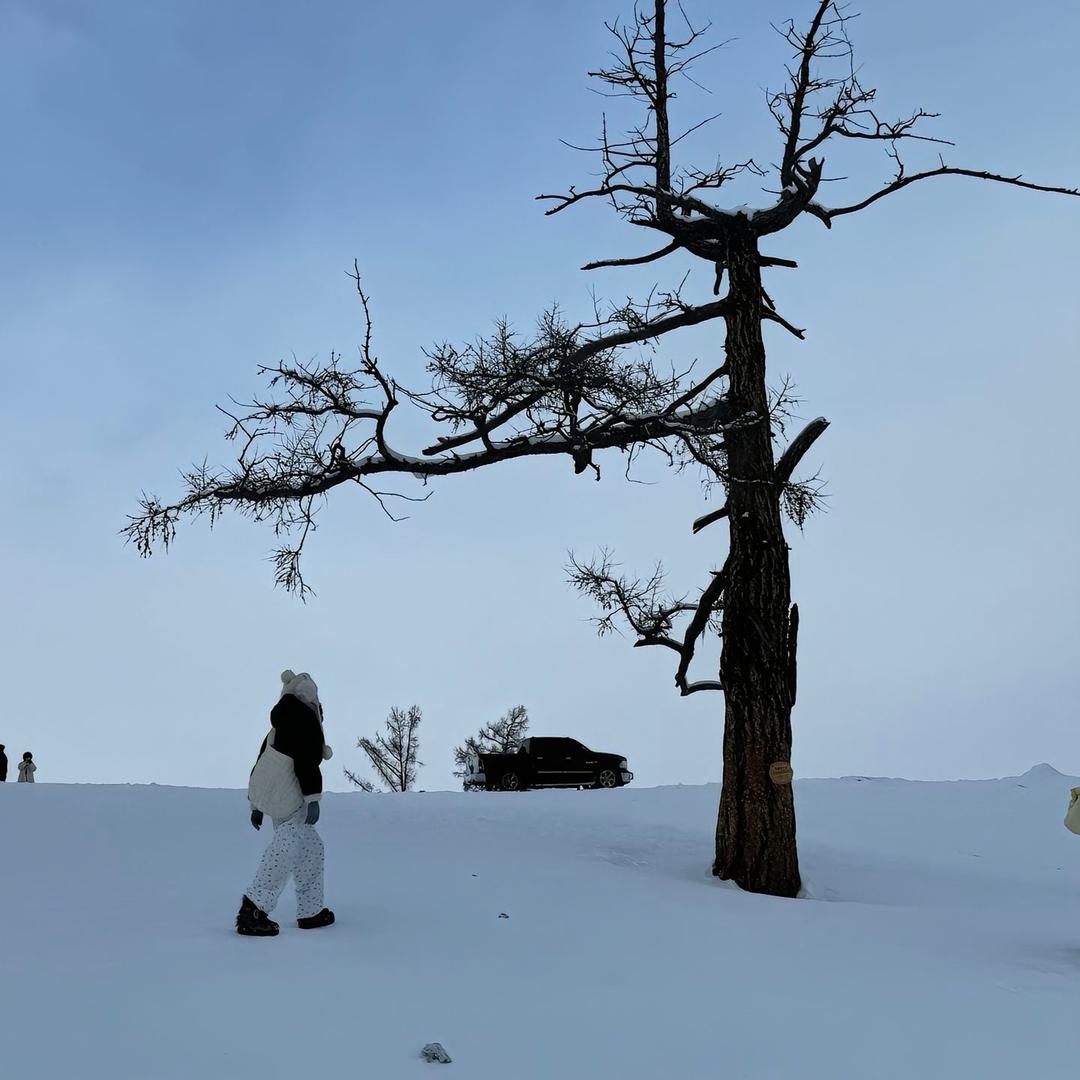 Xiinns🍪（雪花酥版