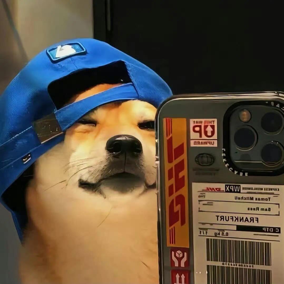 自渡