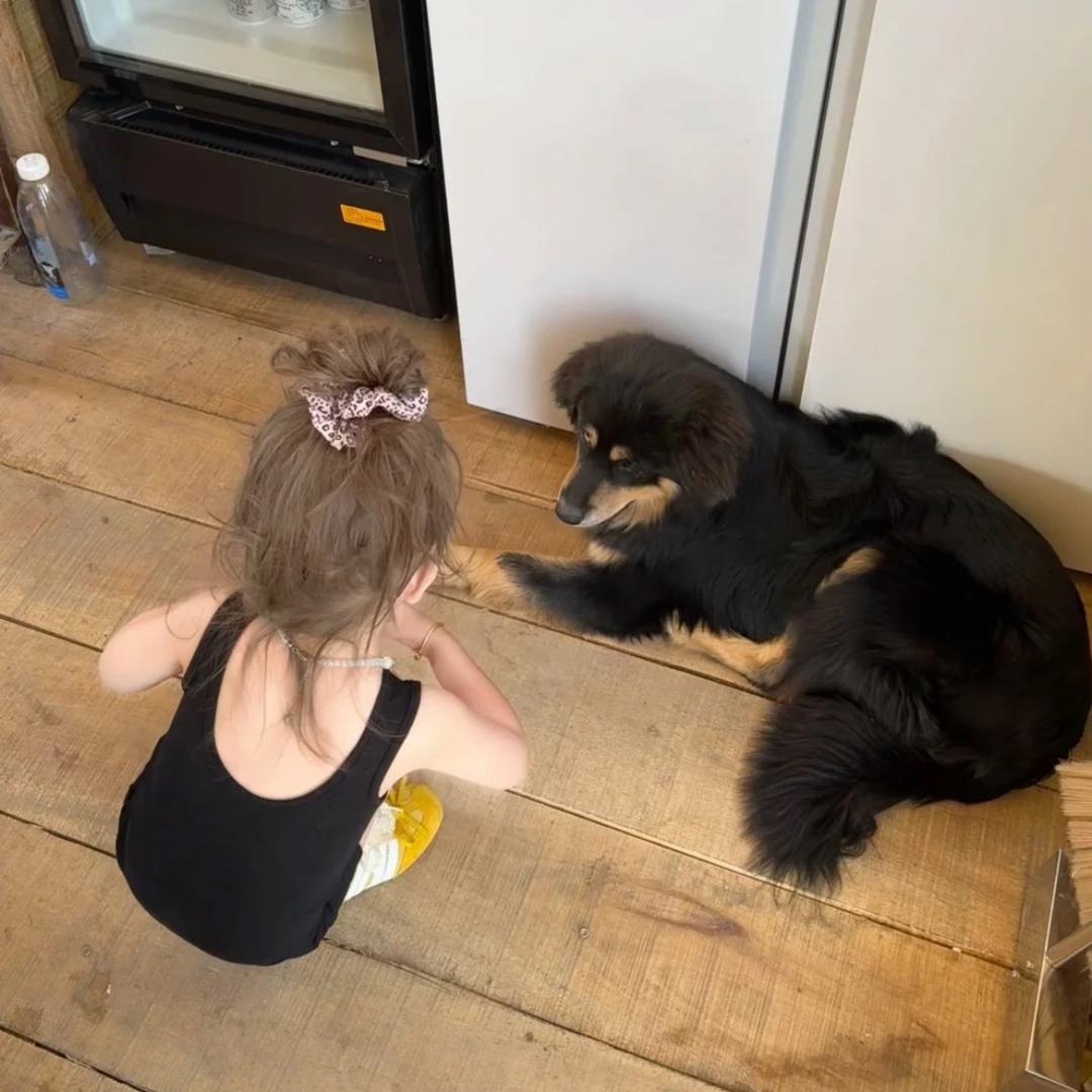 卖萌被打掉一颗兔牙