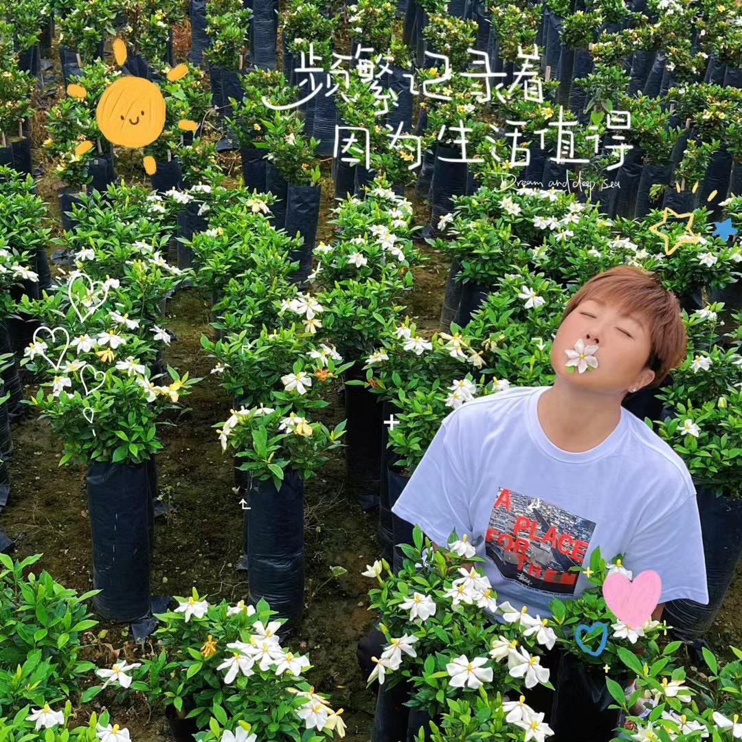 小胖妹园艺店铺青青