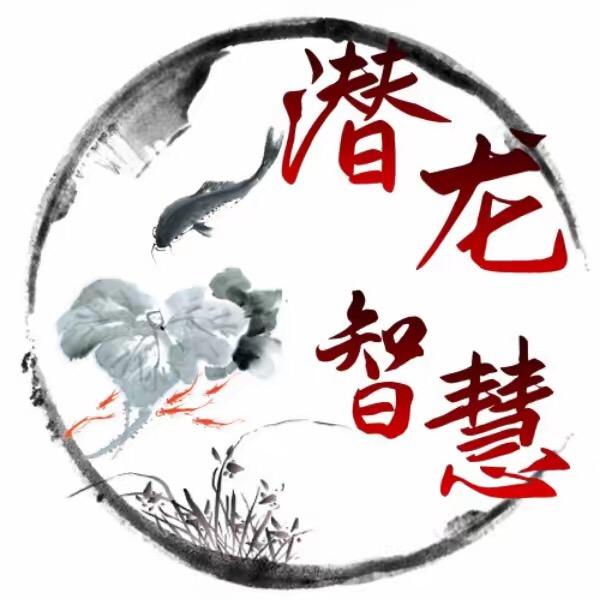 潜龙智慧