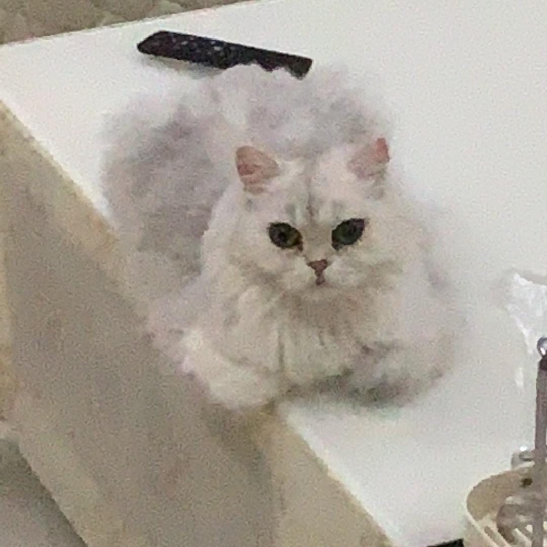 百年孤独