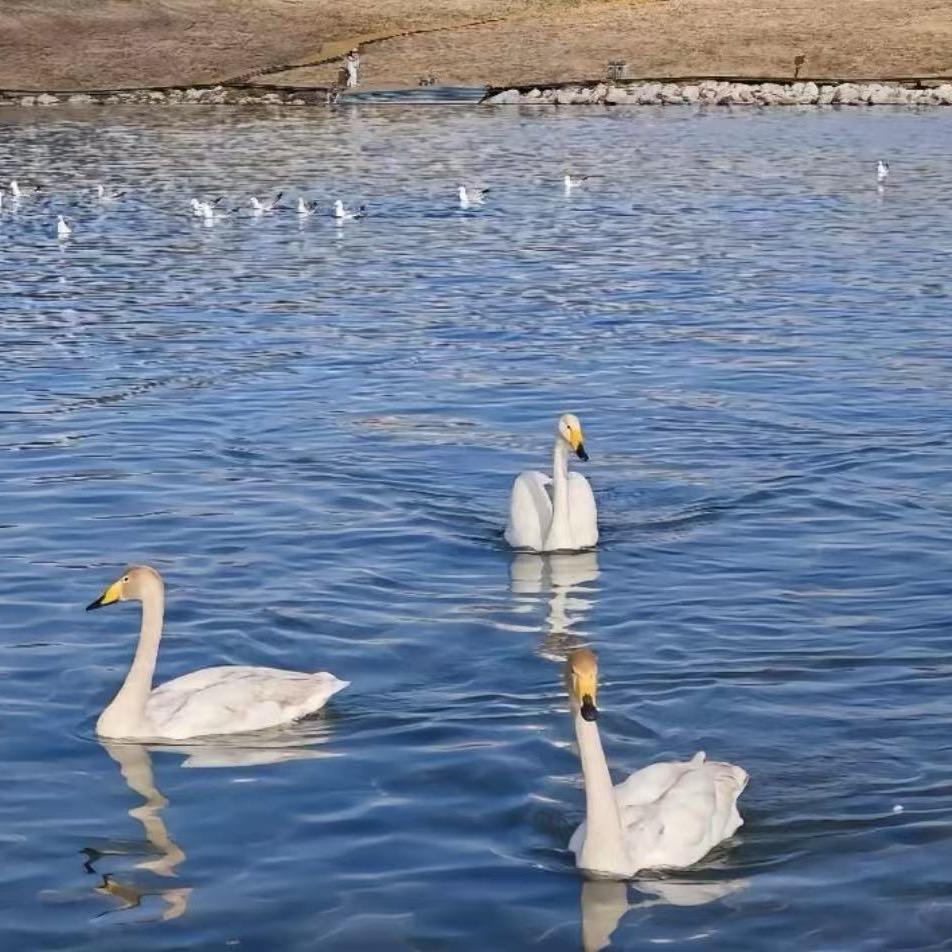 百思不得骑姐🌧️
