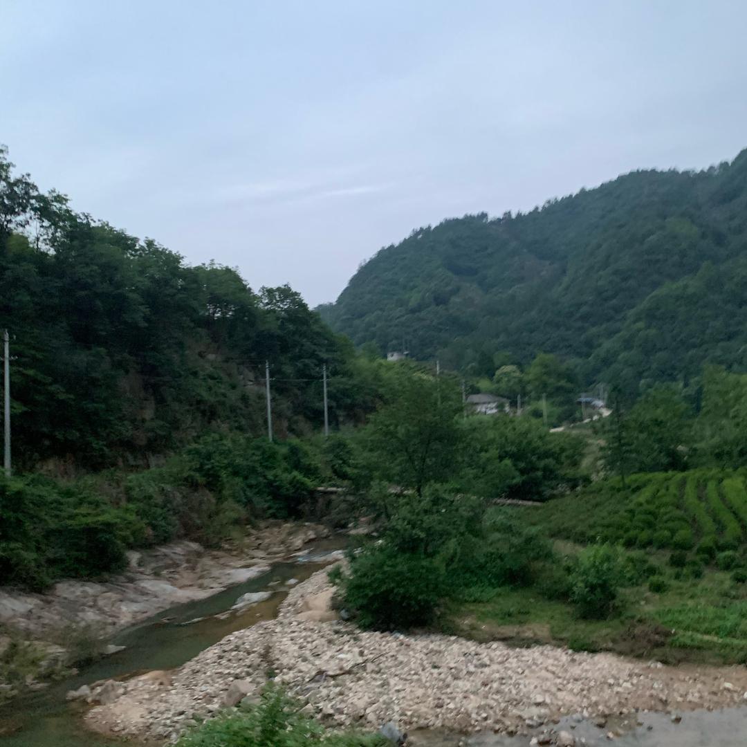 钓鱼人🎣🎣