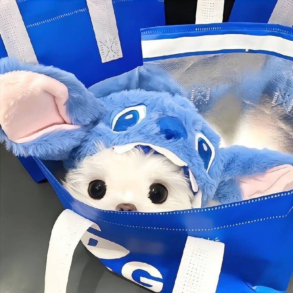 爱吃绿豆饼⊙