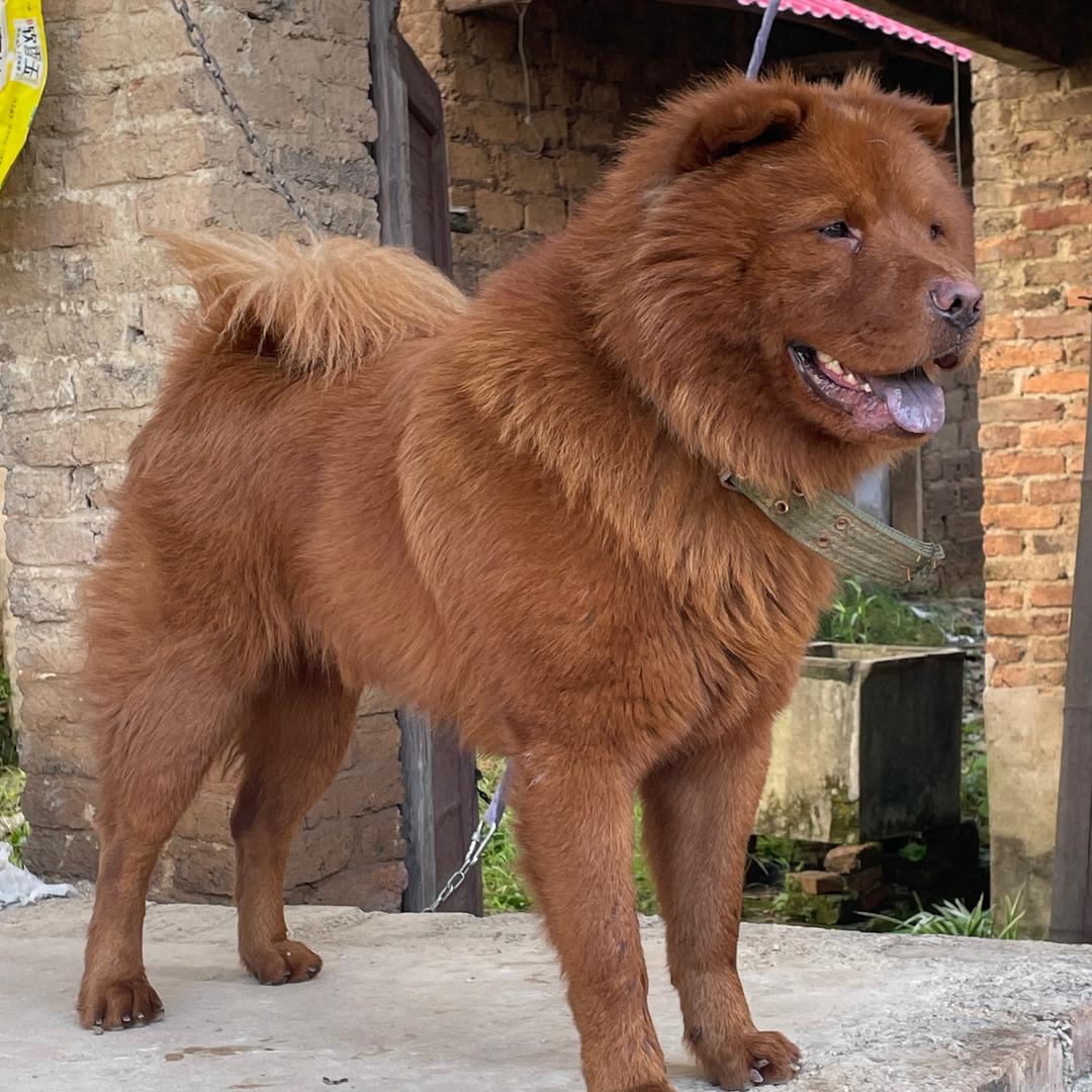 🌈🌈🌈土松发财