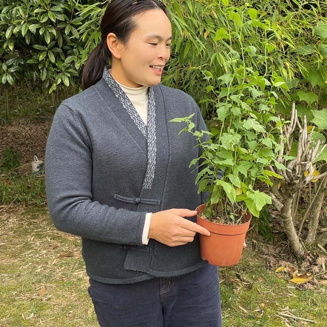 一把刷子闯天下