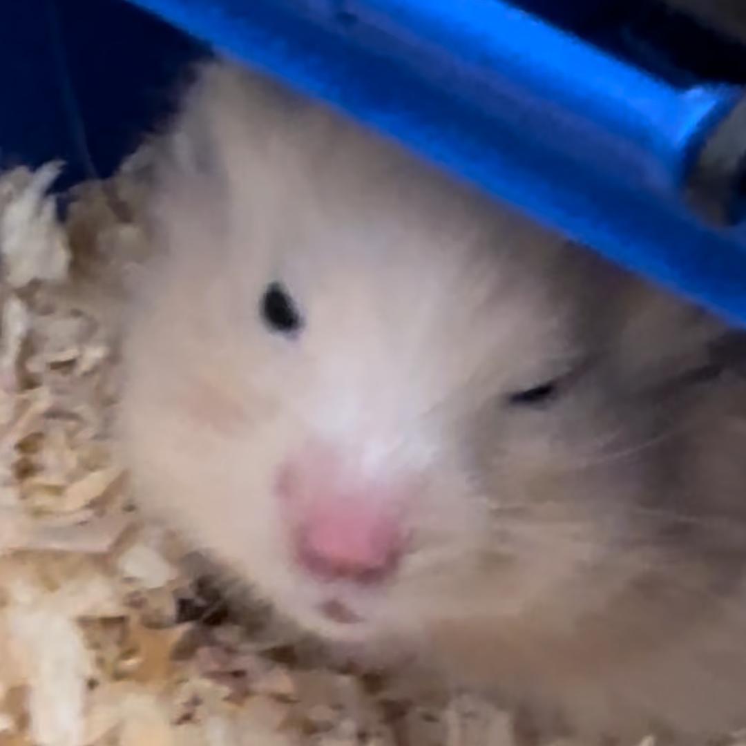 okok