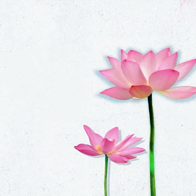 国学智慧•玄月3