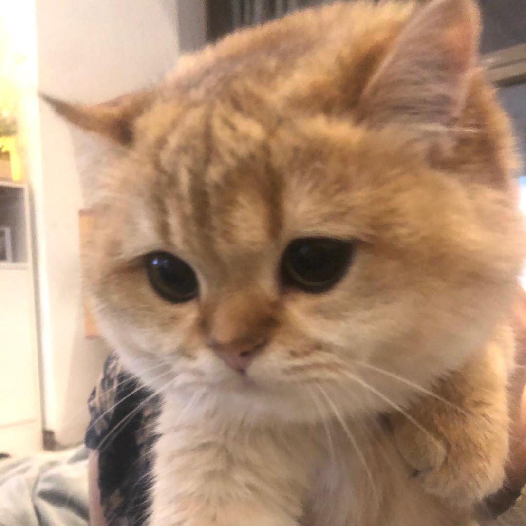 在荣耀打工的Jenny
