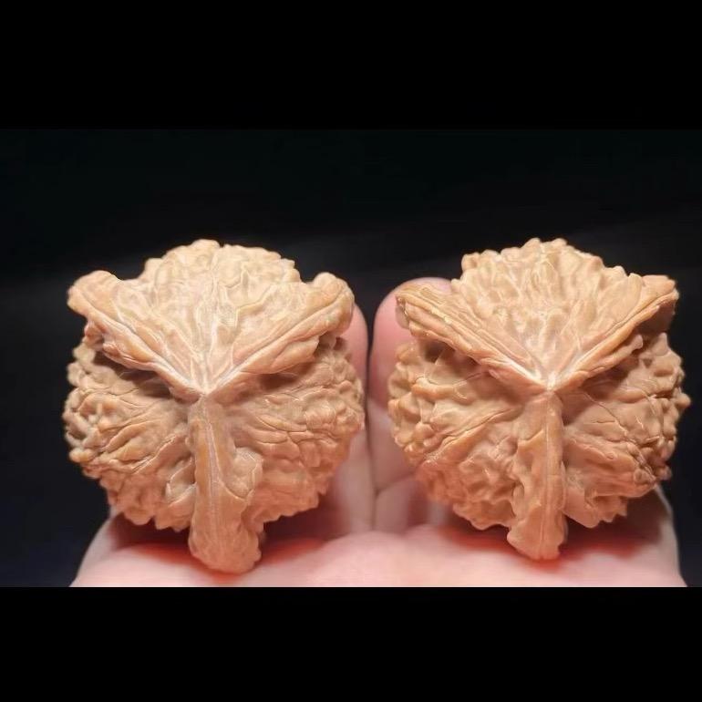 佳核精品