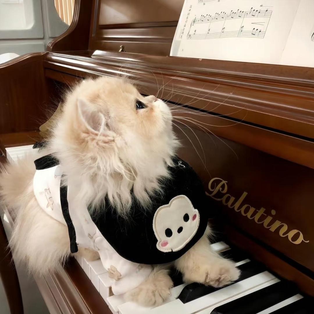 小香猫