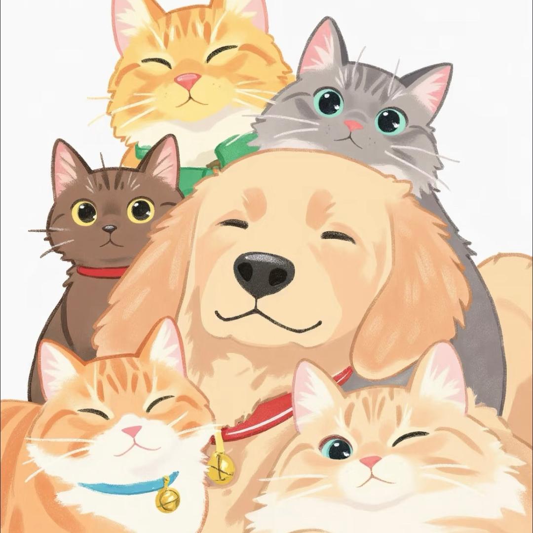 月月的鞍宠小镇🐱