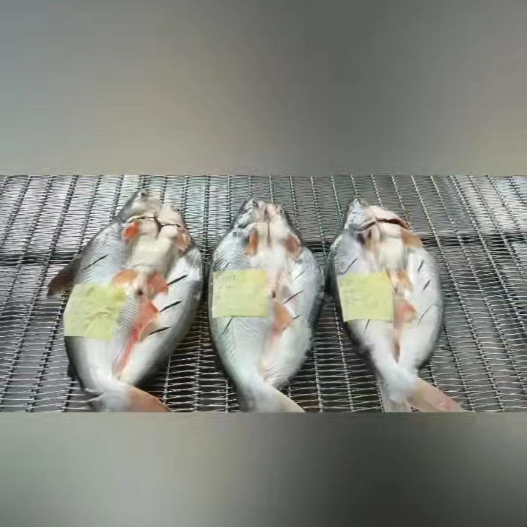 越南巴沙鱼工厂店