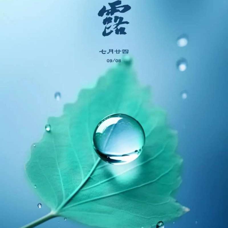 衣度空间女装