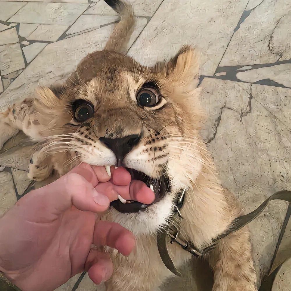 🀇🀈🀉🀊🀋🀌🀍🀎