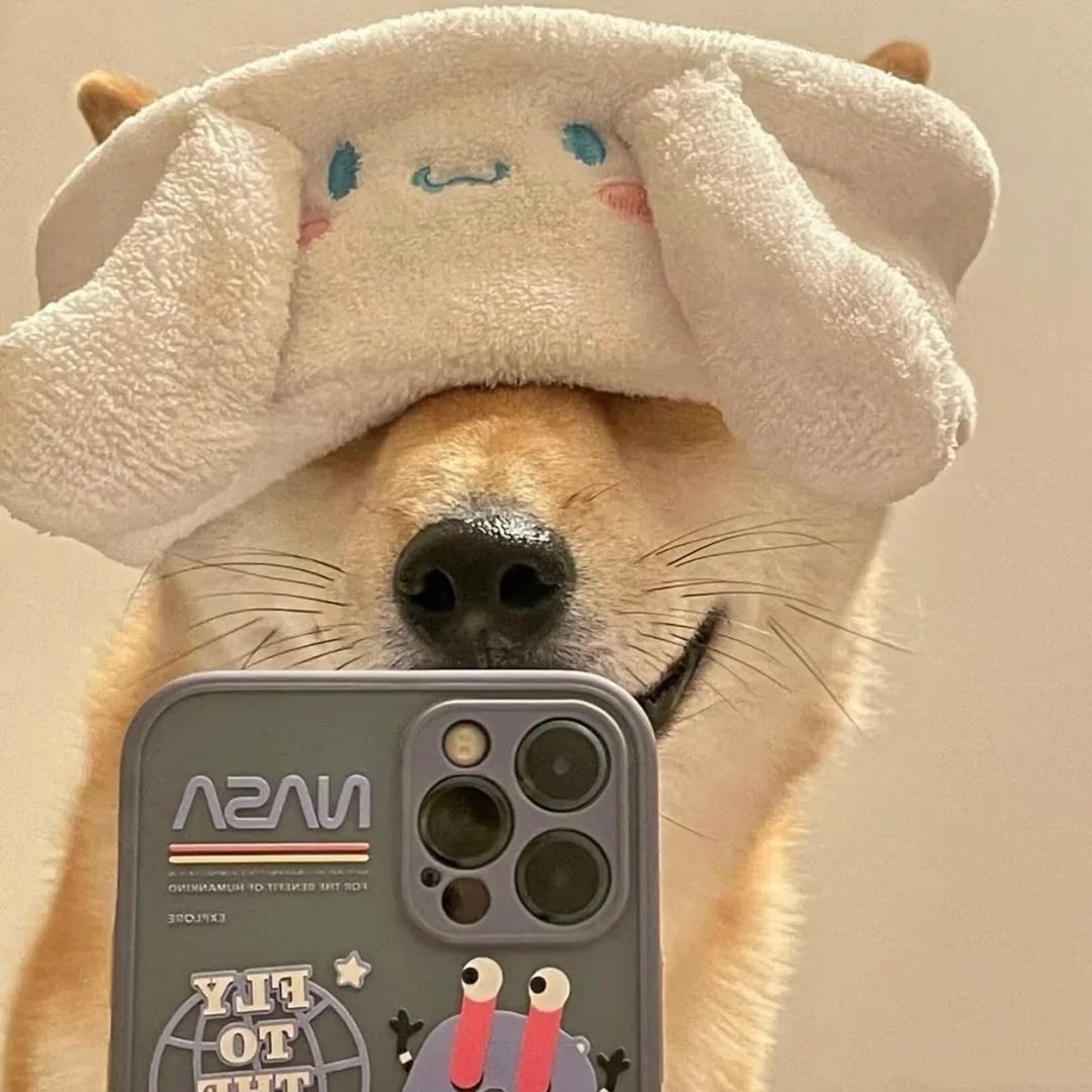 里里.