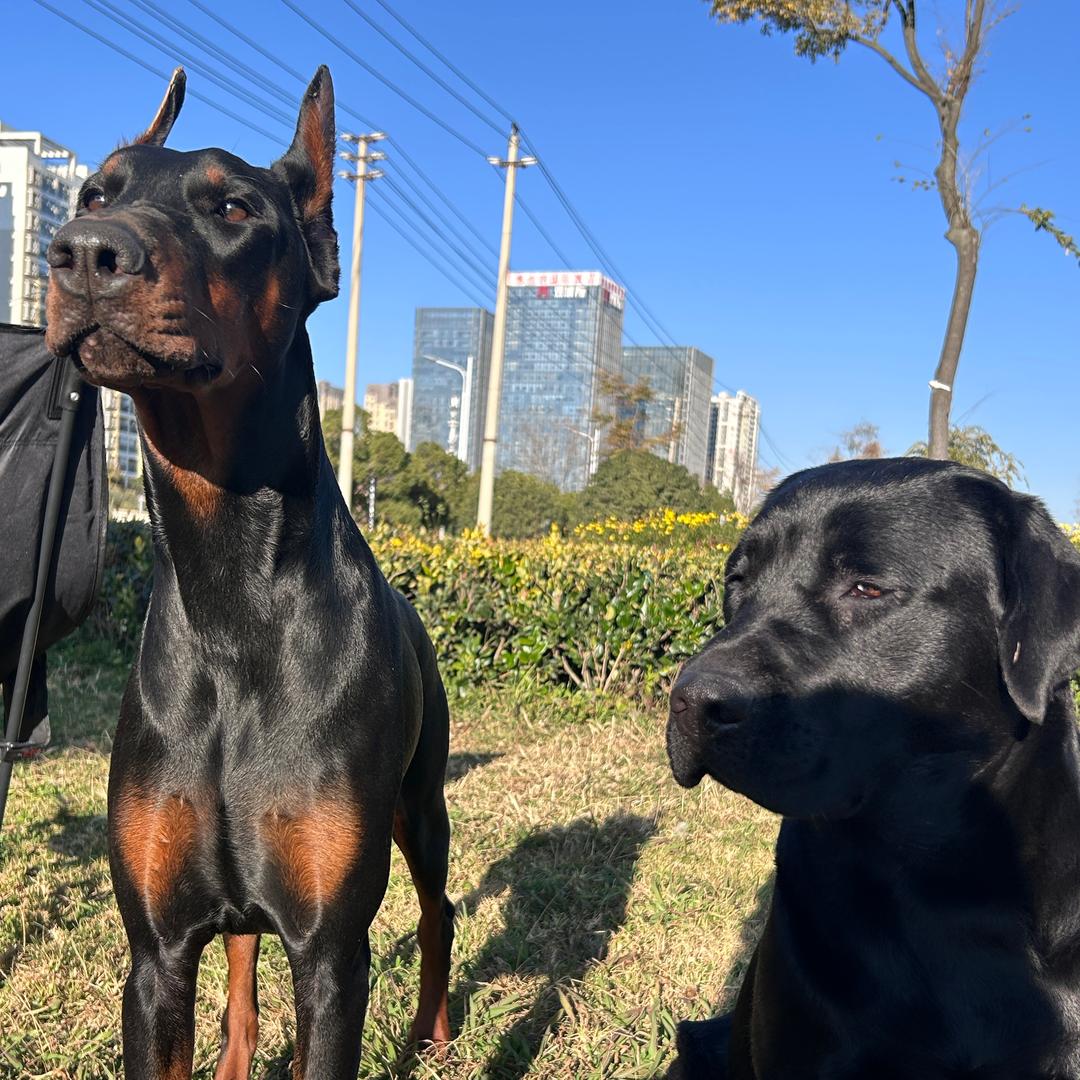 差亿点变富婆