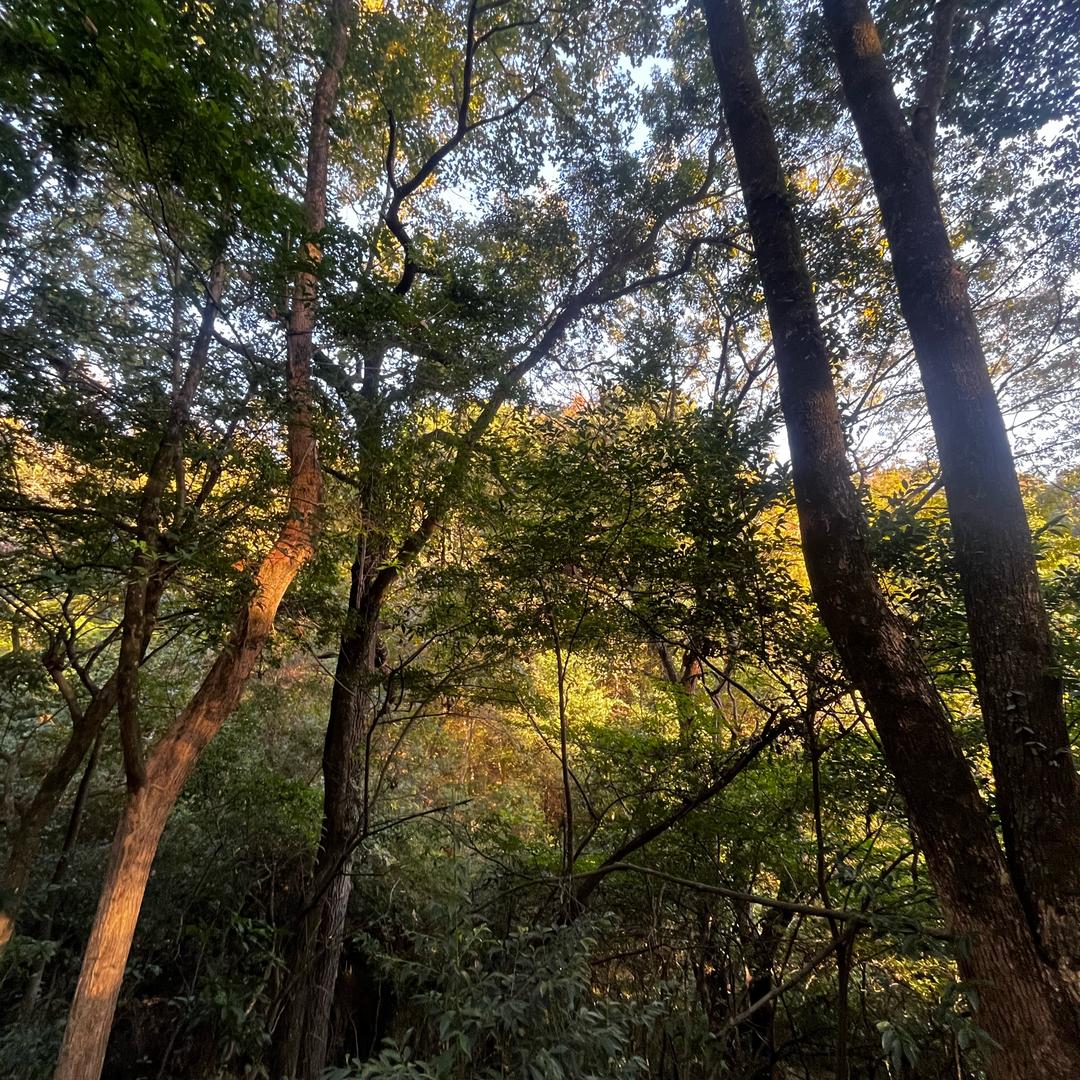 滔搏运动品牌店