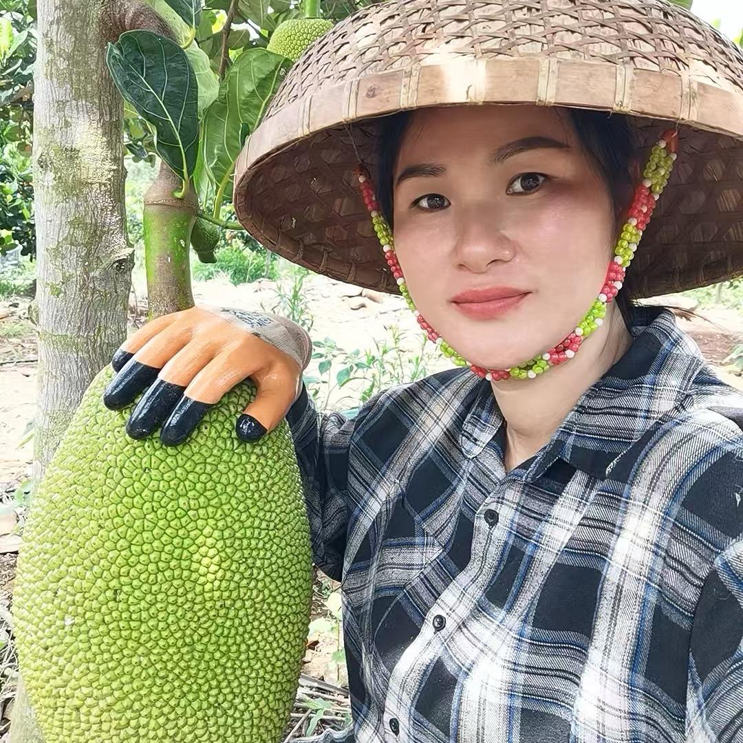 海南四姐