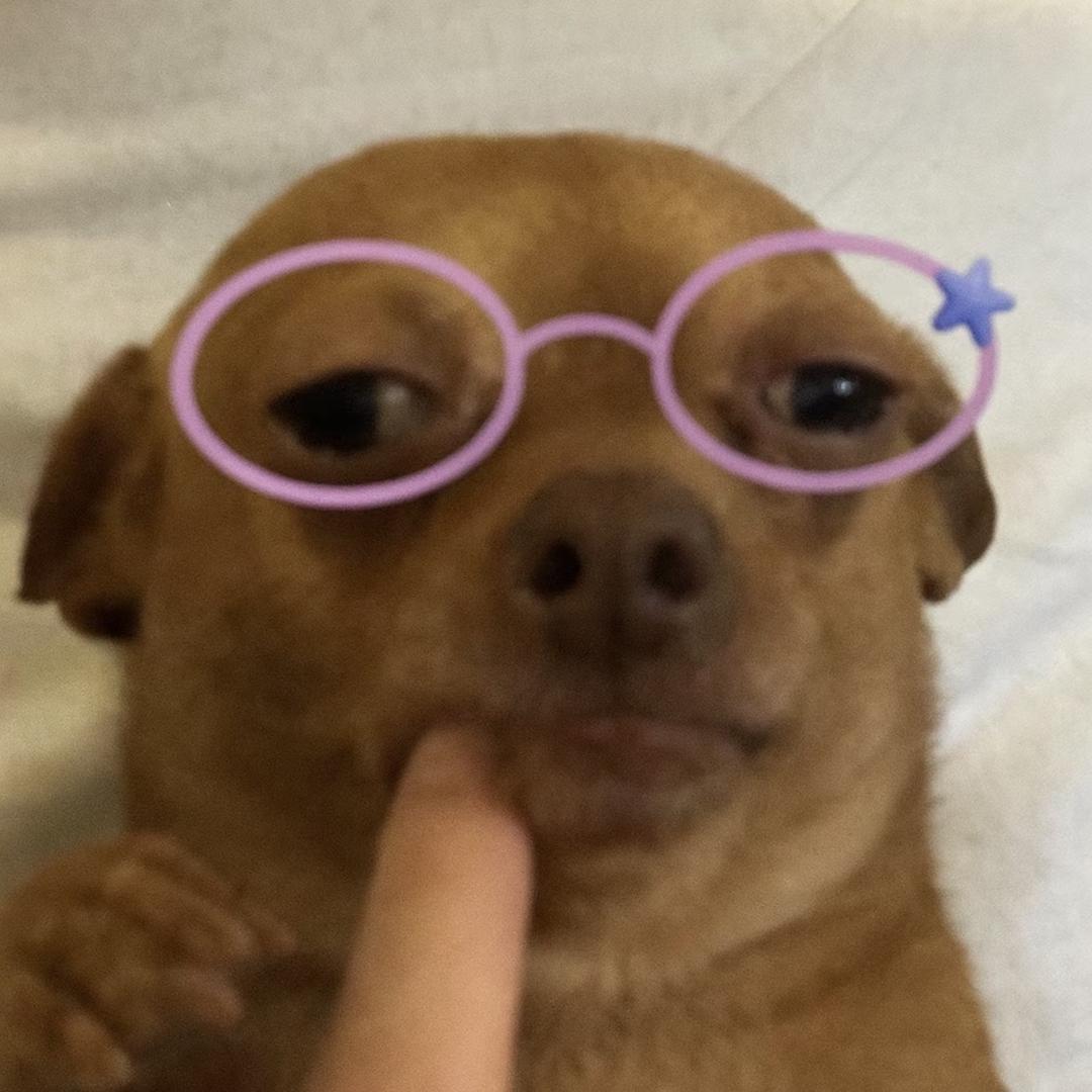 看帅哥缓解学术压力