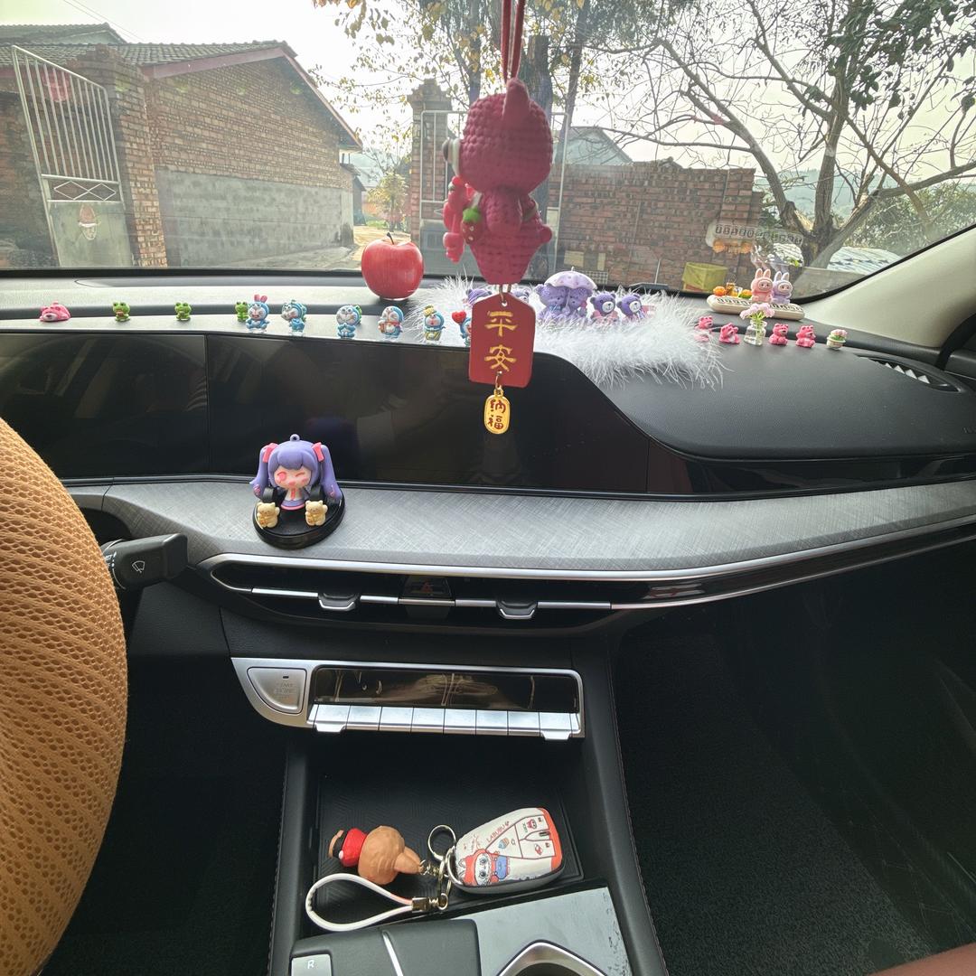 小王和她的逸动