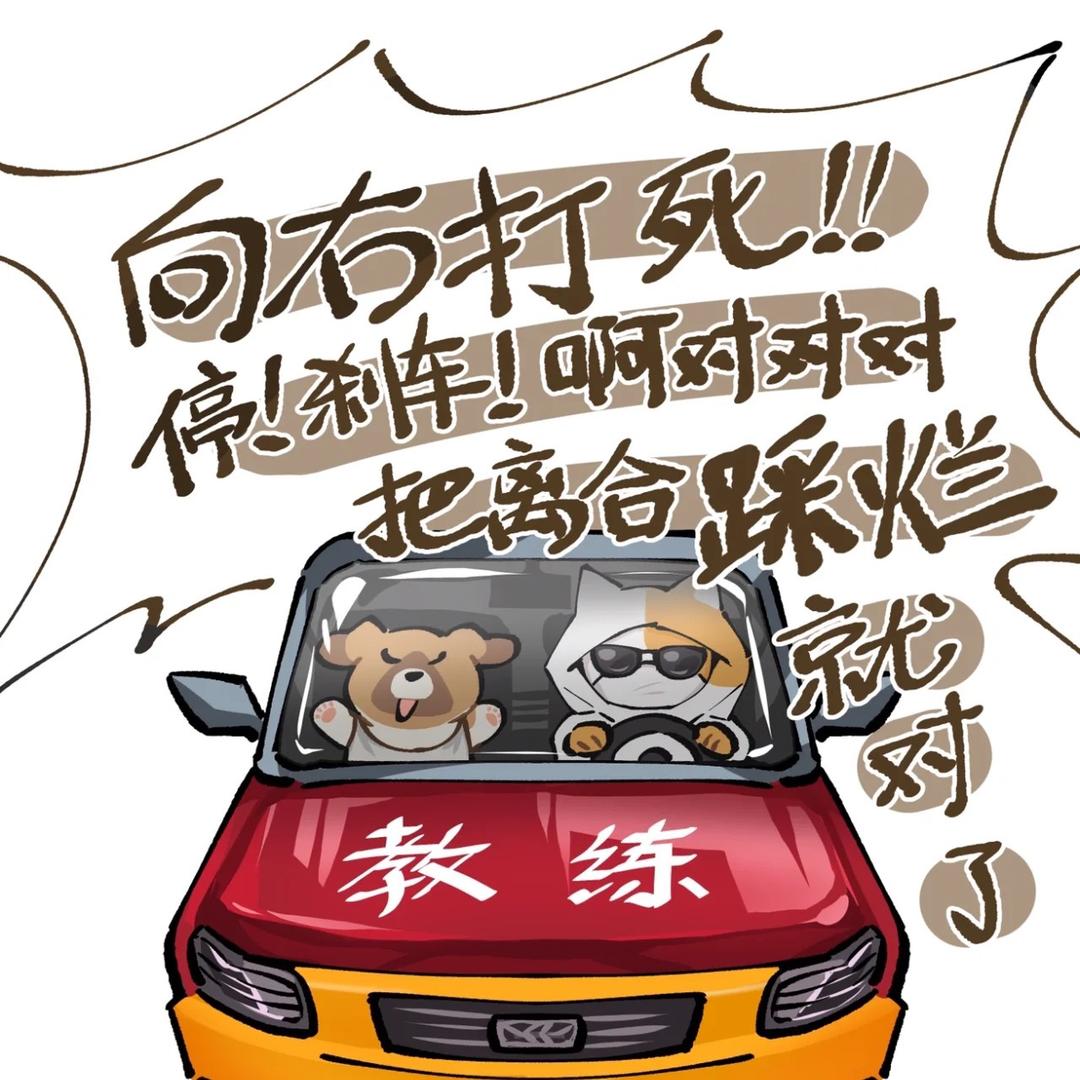 教科一科四的琳教练