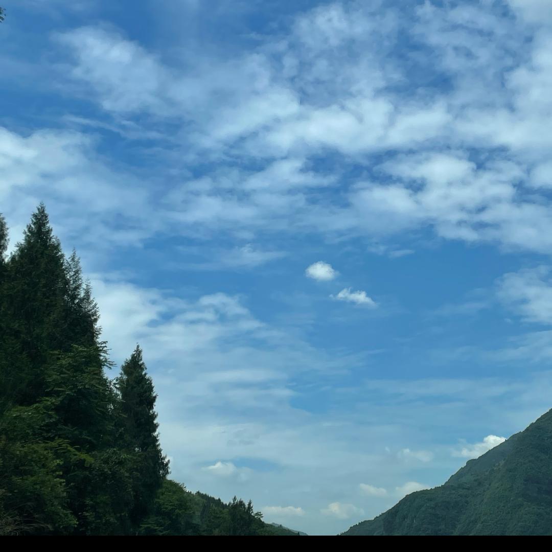露营⛺️