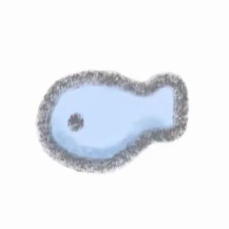 小魚🐟
