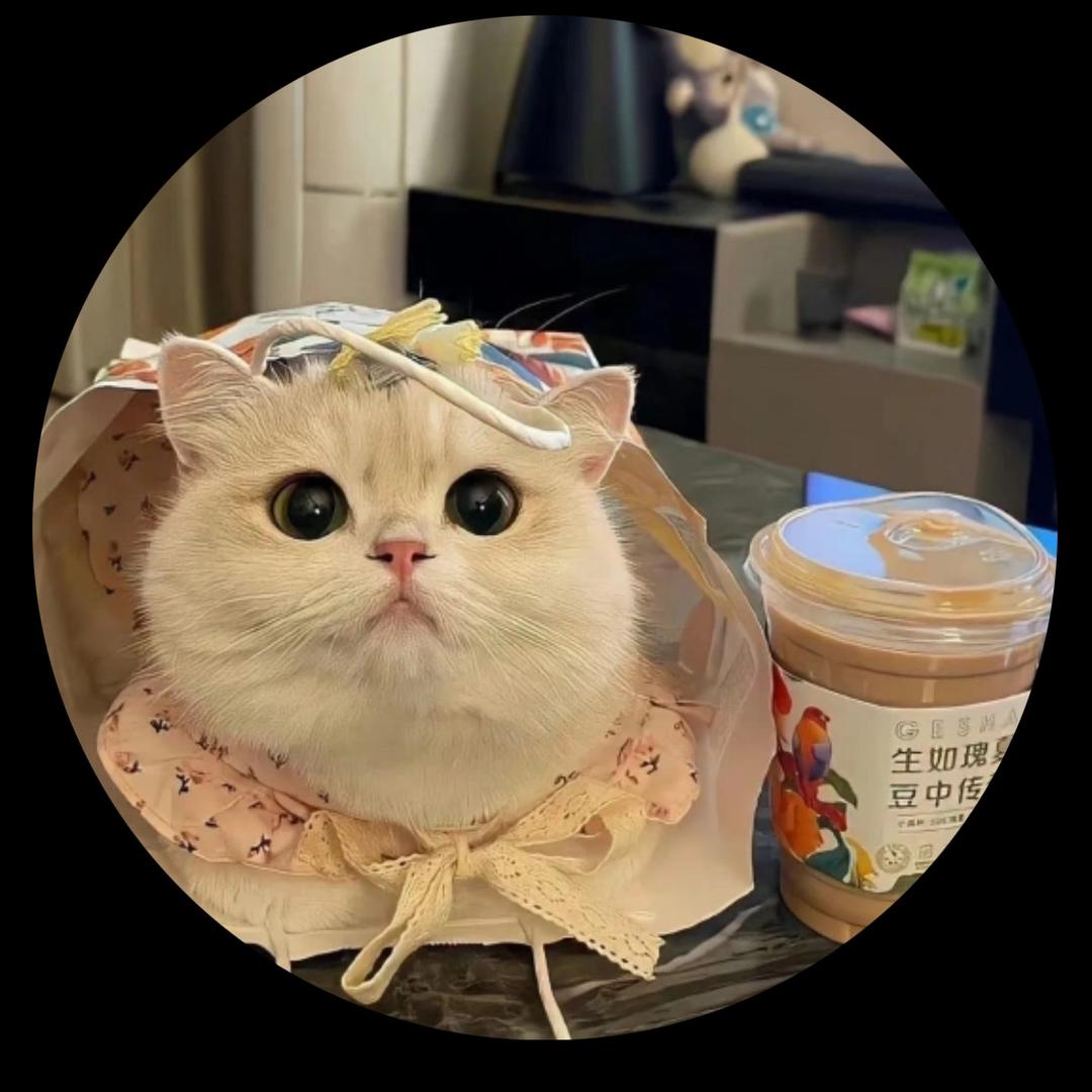 丸子兔兔🐰