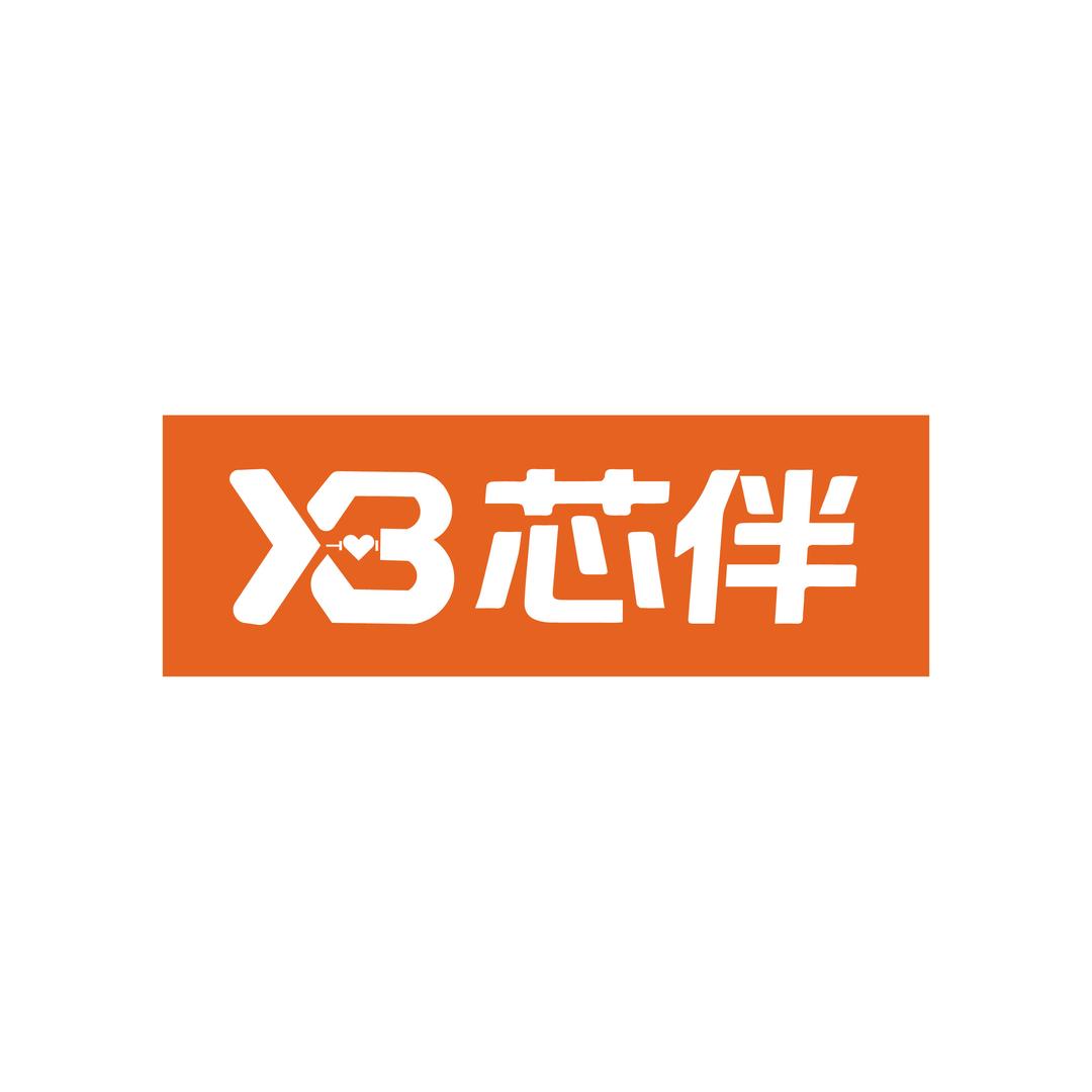芯伴潮玩