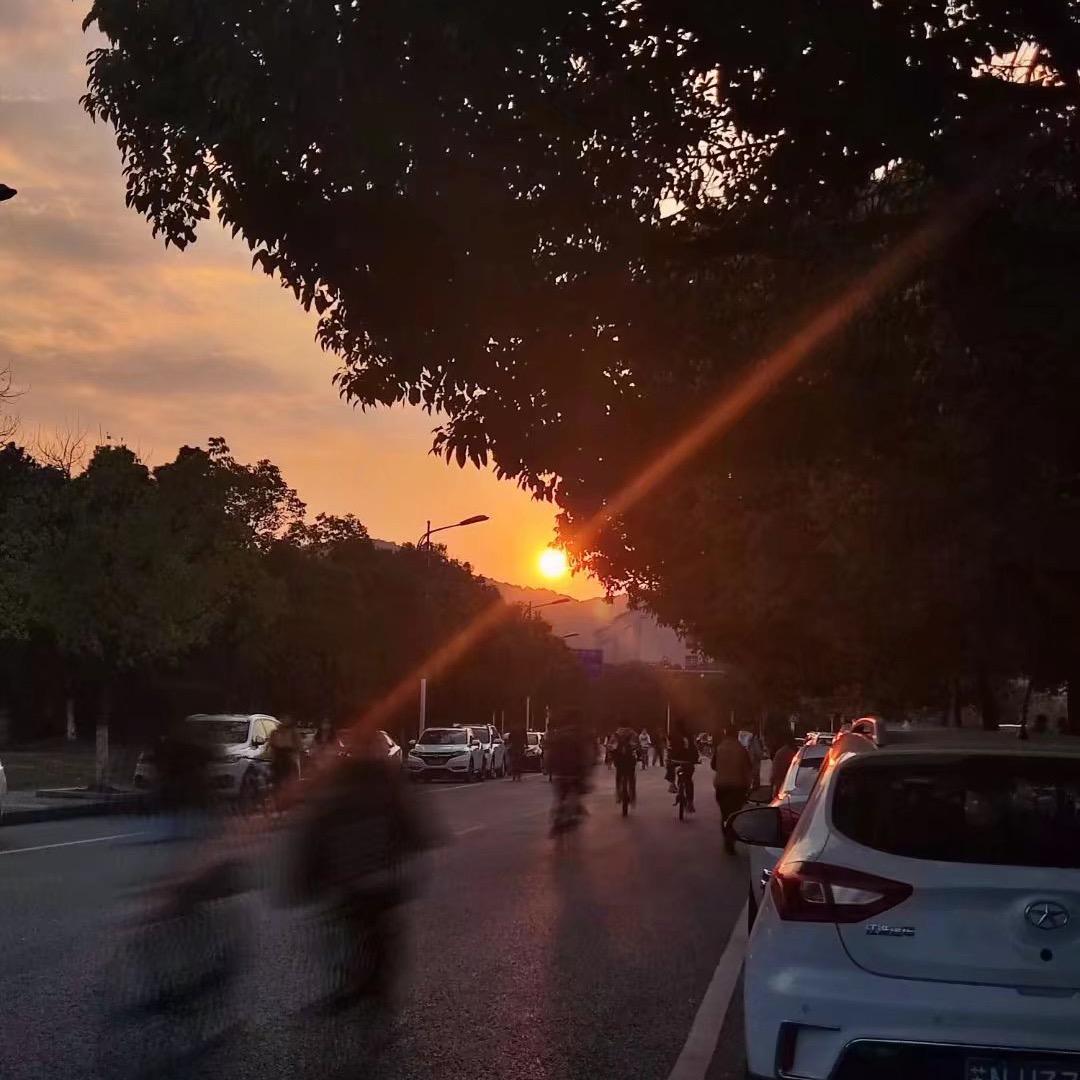 灰桃的灰