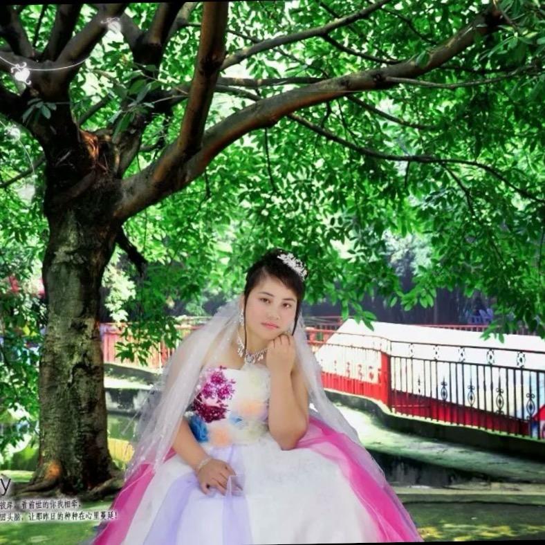 🌻🌻清💐🍂零🌻🌻