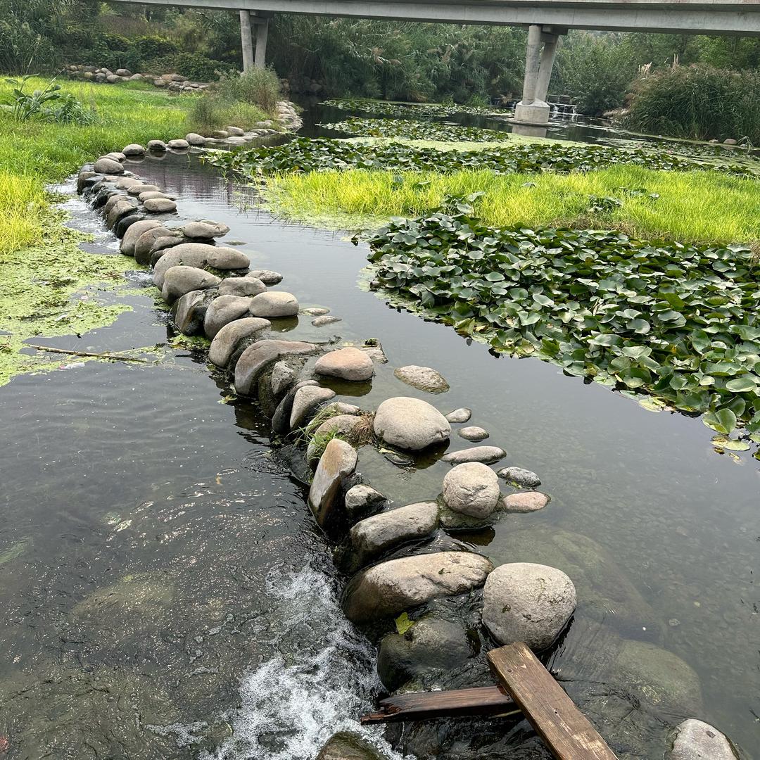 砥砺前行