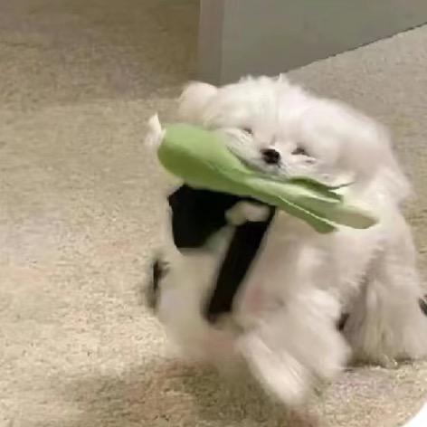 快点醒L