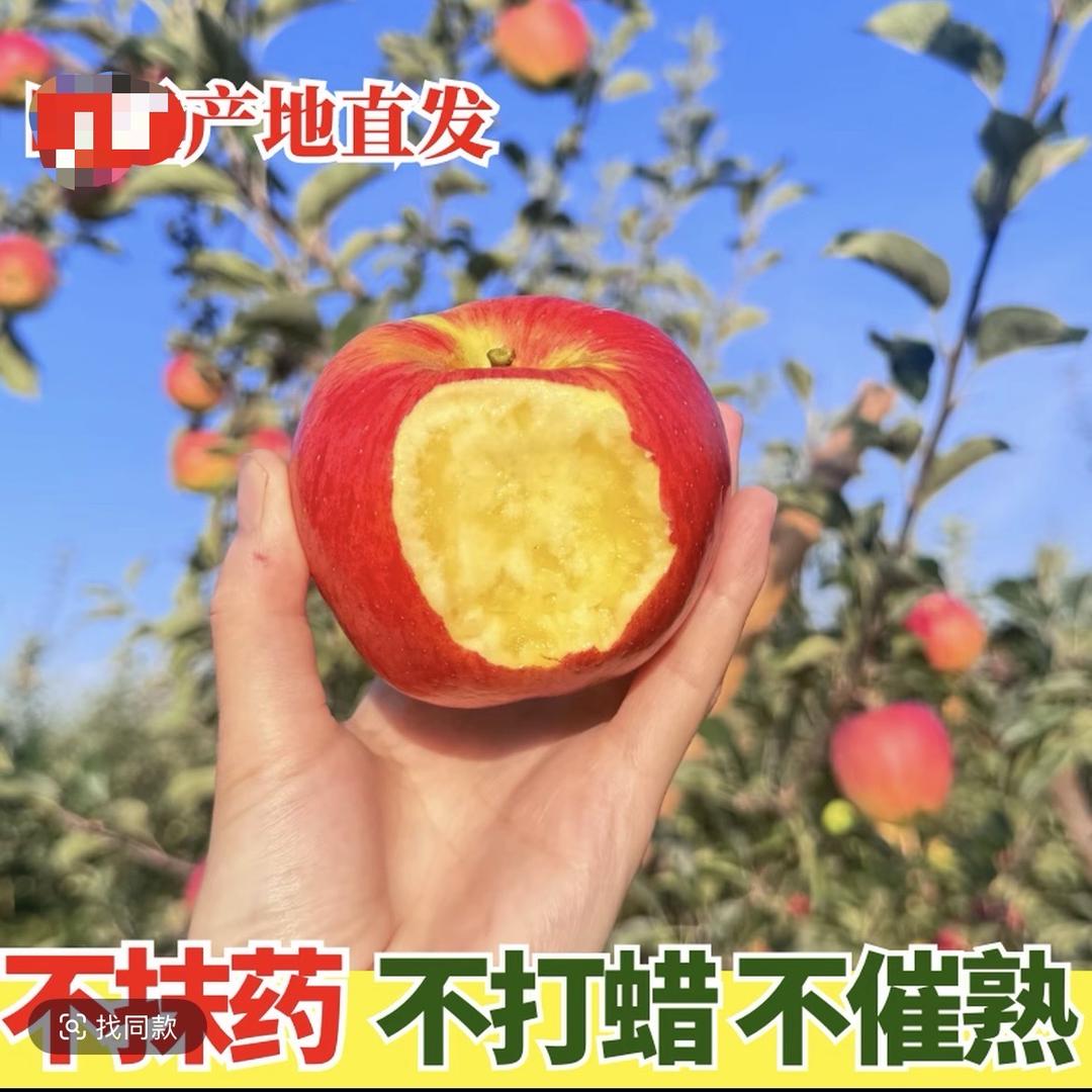 农昇宏果园