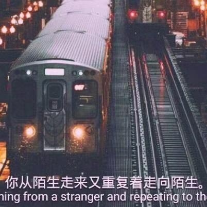 螃蟹🦀️