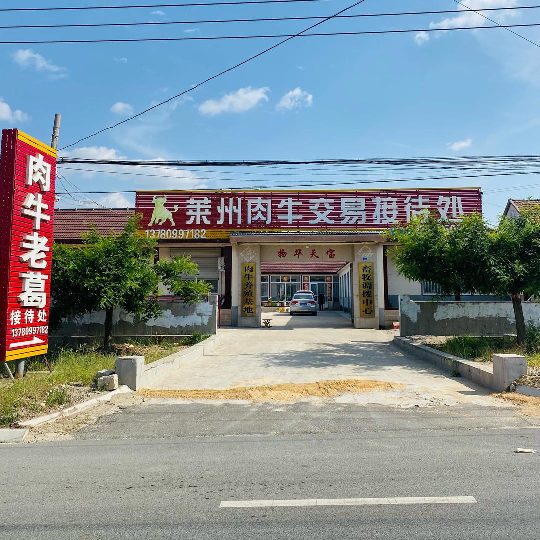 山东莱州肉牛老葛接待处