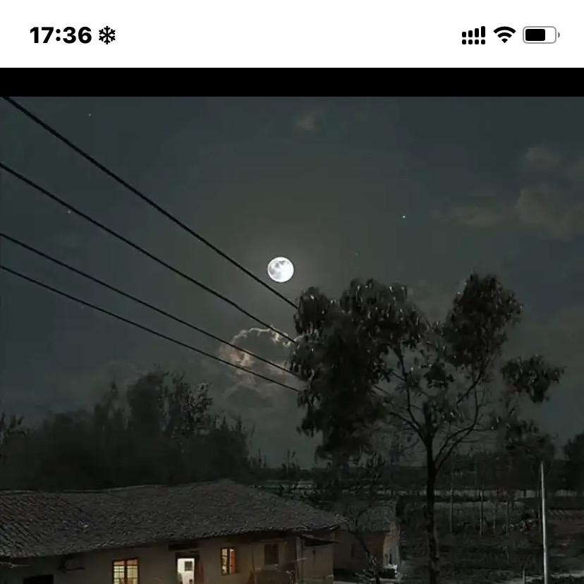 百村专营店萌萌