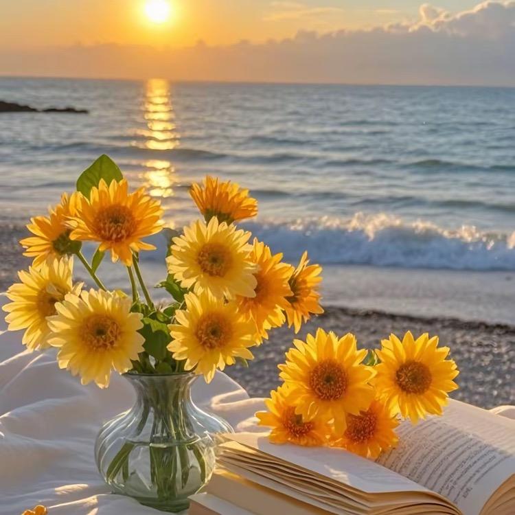 ☘️岁月静好🍀