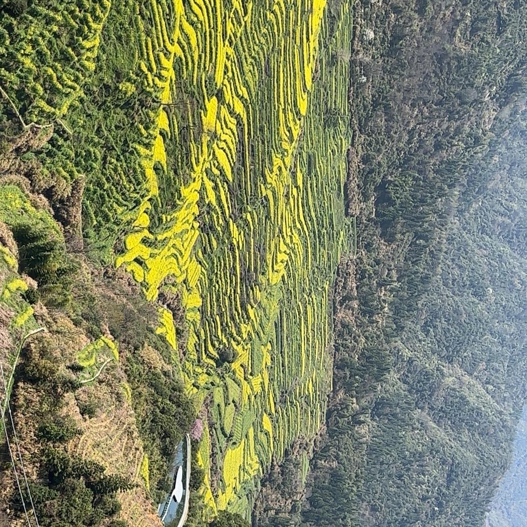 子月