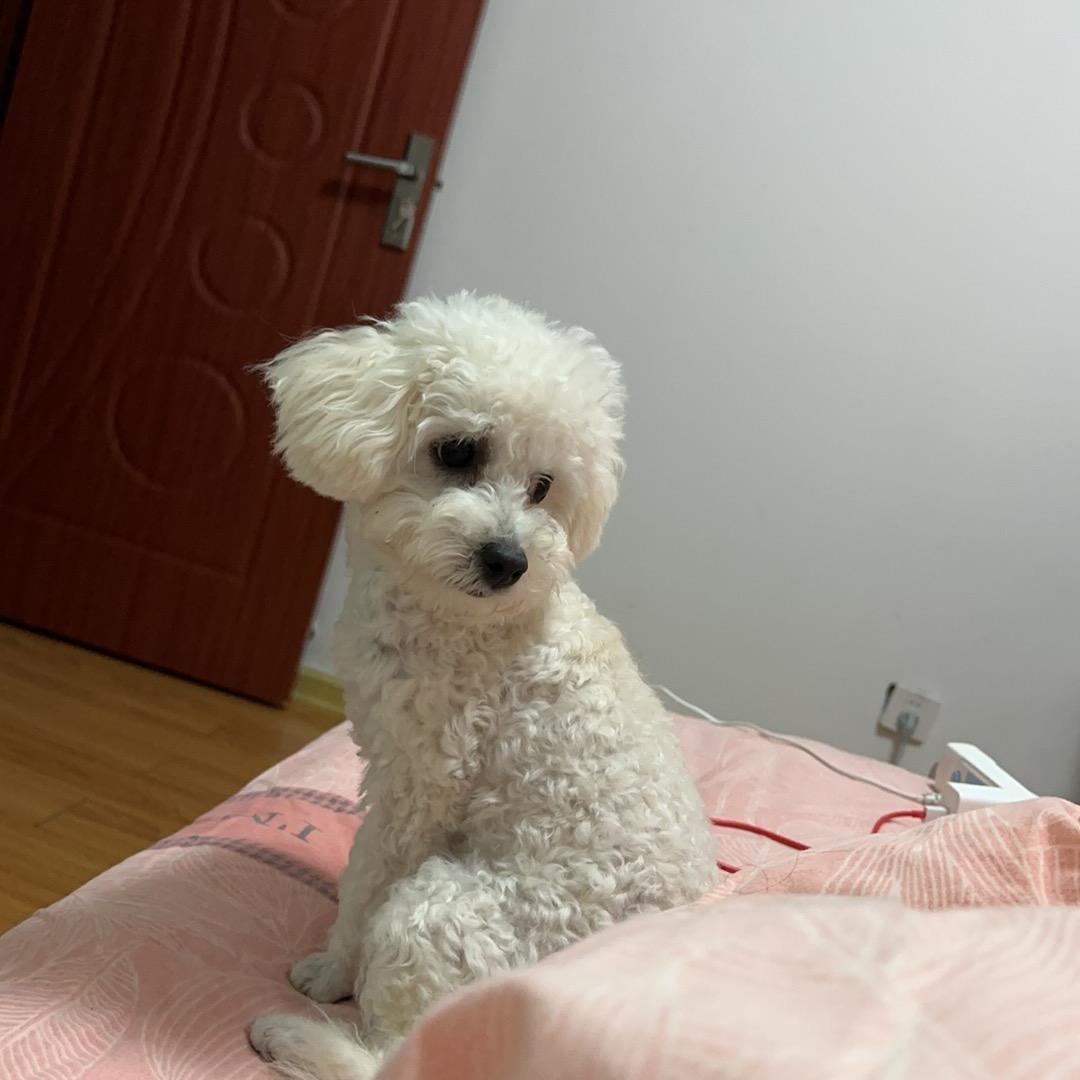 温暖.