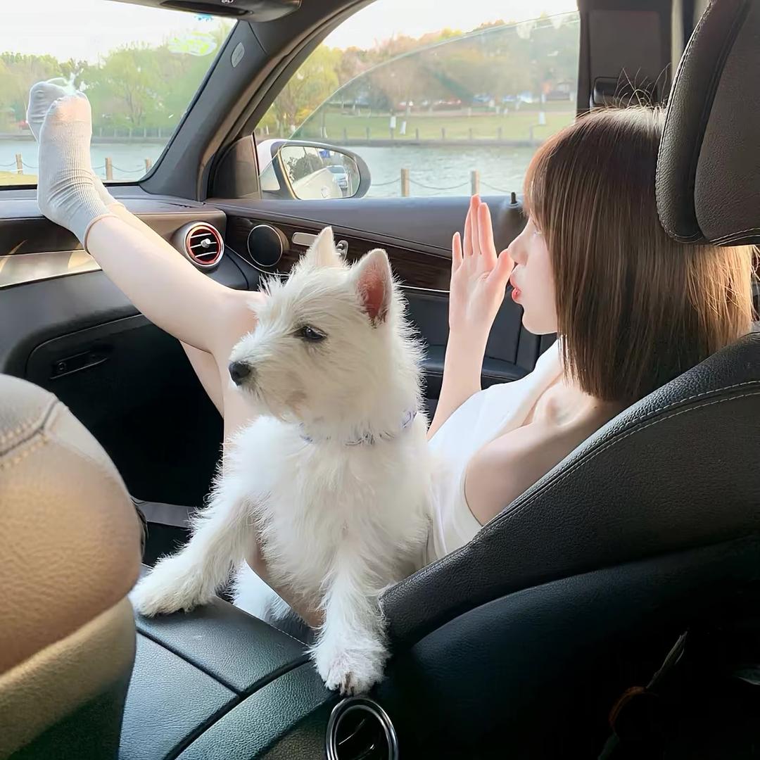 痛感
