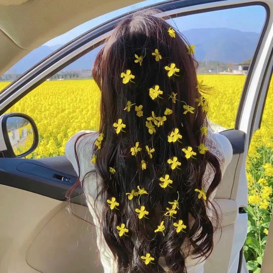 奶思兔米鱿