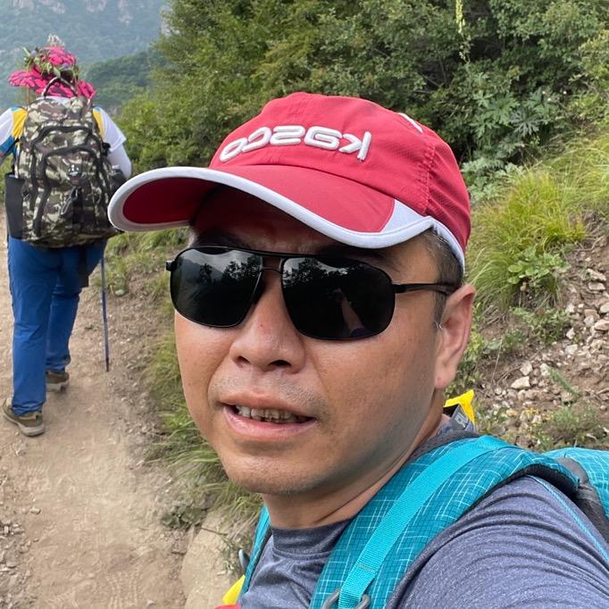 奔跑的鲨鱼