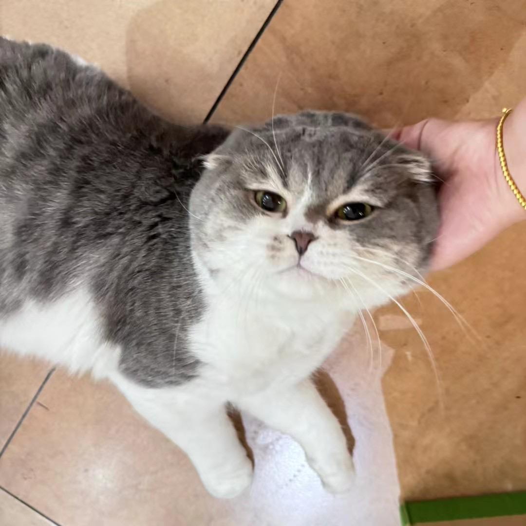 ………