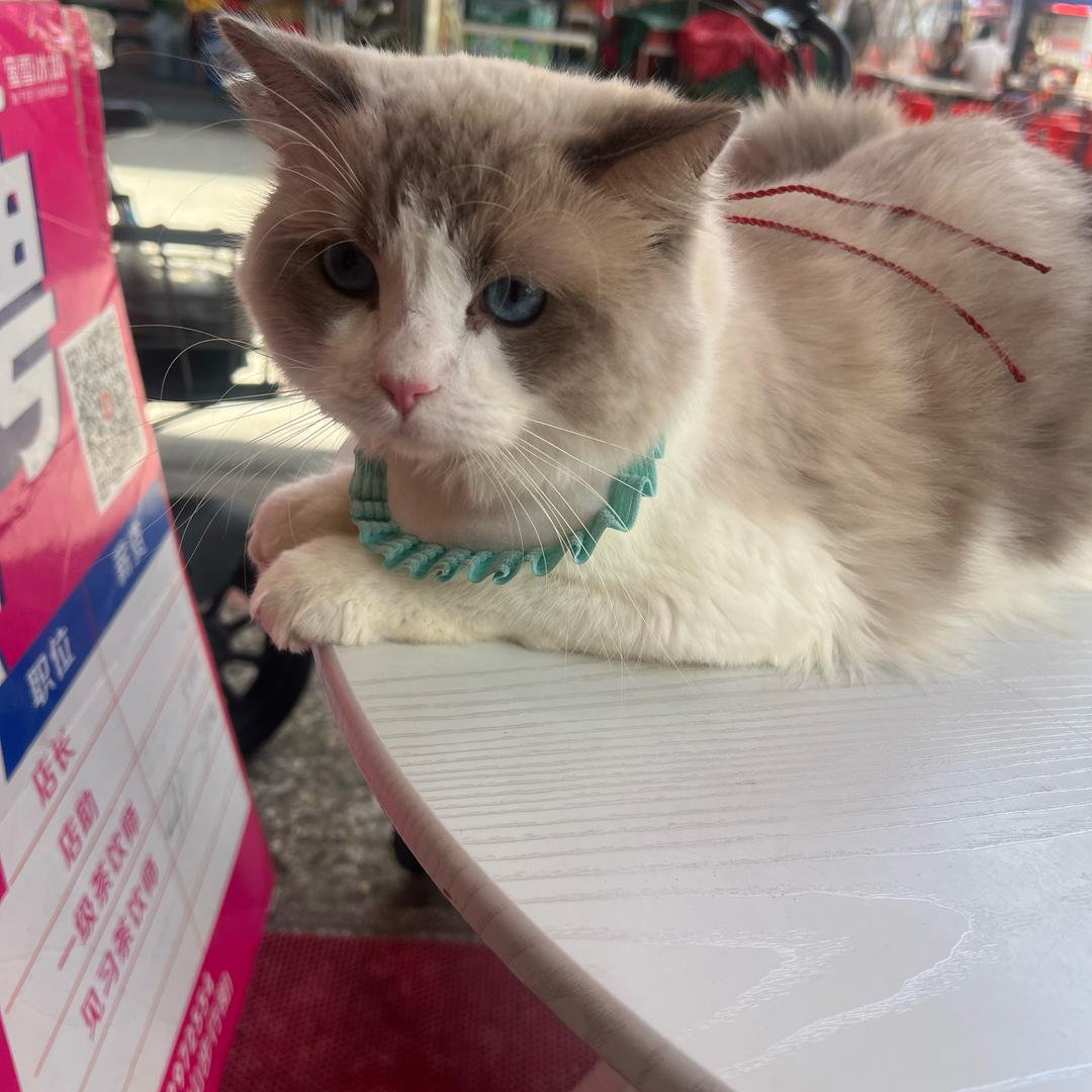 睡觉睡觉吧