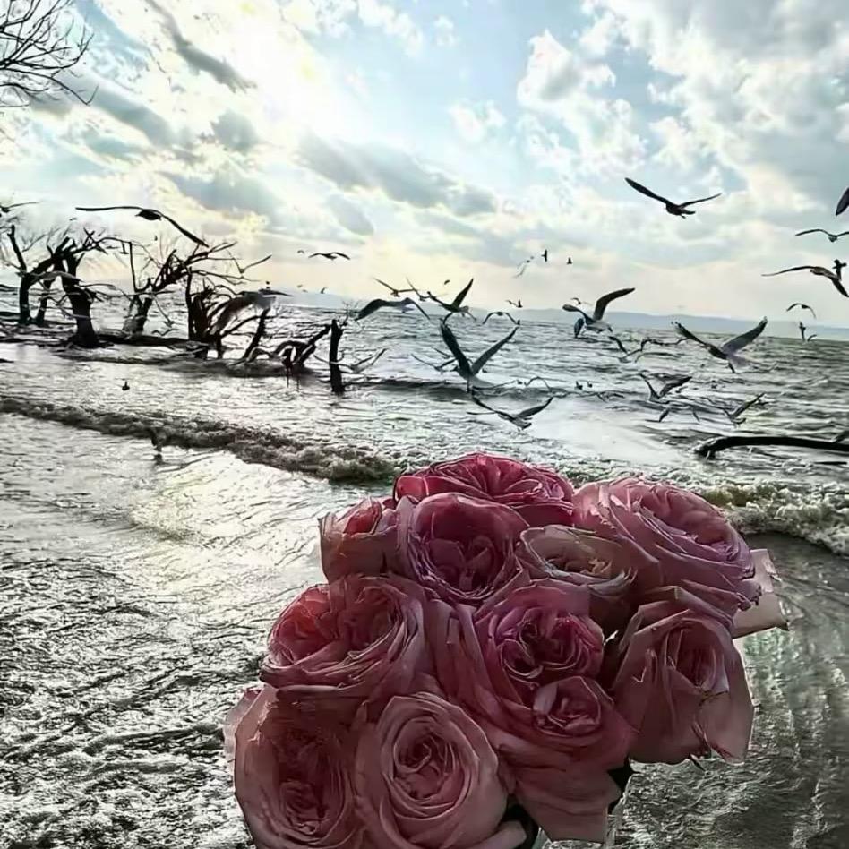 ɞ✨✩⡱✨ʚ   𝐻𝑎𝑣𝑒 𝑎