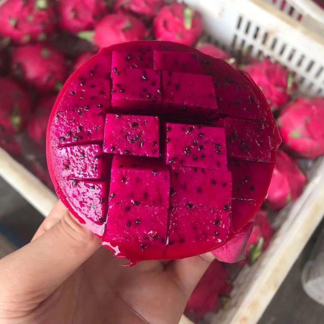 鲜齐农货供应链